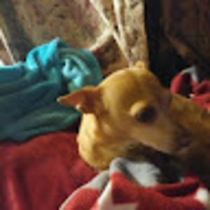 Meet your Posher, Hardtymes075